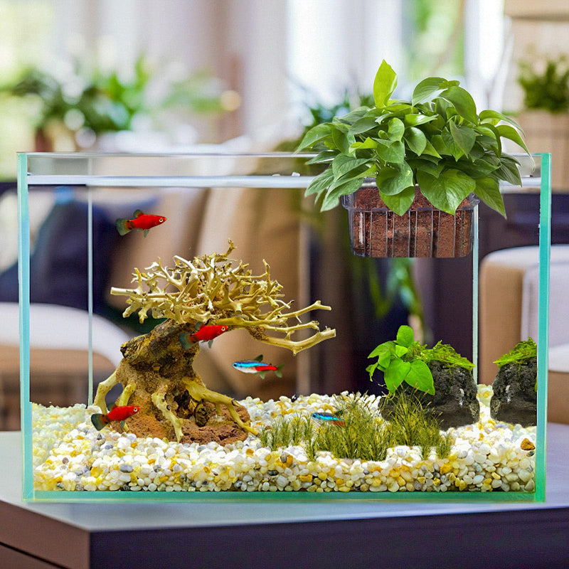 4 Pcs Aquarium Plant Holder,Hanging Fish Tank Plant Pot Aquarium Planter Cups,Suitable for Fish Tank Scene Arrangement of a Variety of Plants Hydroponics - PawsPlanet Australia