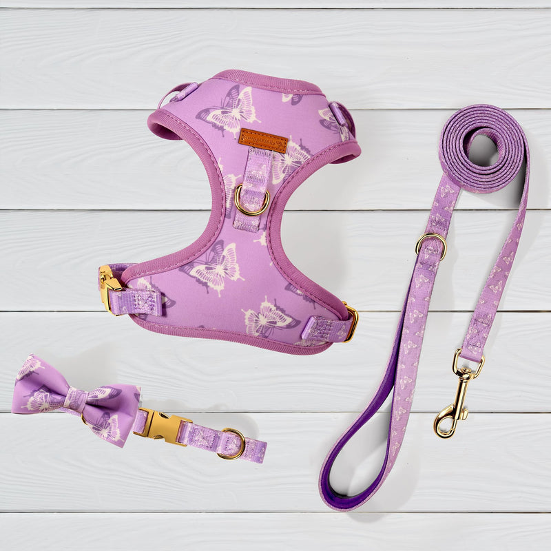 Cute Dog Collar, Harnesses & Leash Set with Gold Colored Metal Components – Breathable and Adjustable Dog Collar and Leash Set with Bowtie - Soft Dog Vest Harness for Puppies Small and Medium Dogs - PawsPlanet Australia
