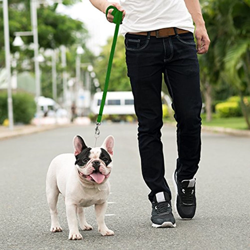 Long Dog Puppy Obedience Recall Training Agility Lead, Leash - GREEN, 15' Foot - by, Downtown Pet Supply 15 Foot - PawsPlanet Australia