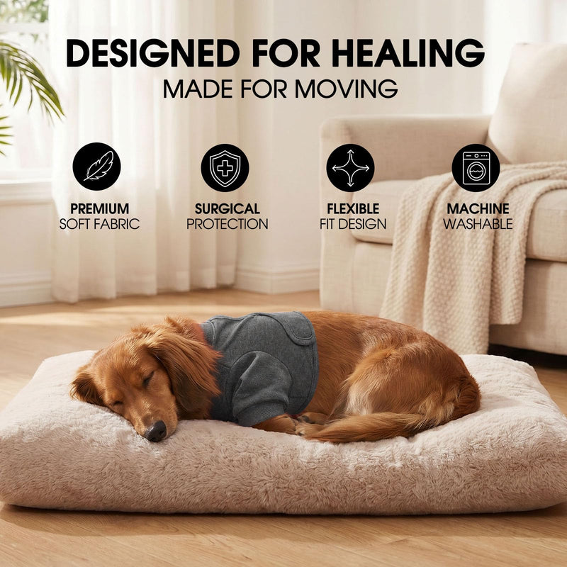 CITÉTOILE Recovery Suit for Dogs Front Body, Post-operative Protective Suit Front Paws, Breathable Medical Clothing for Licking, Elbow and Knee Protection for Wounds and Dressings, Grey, M gray