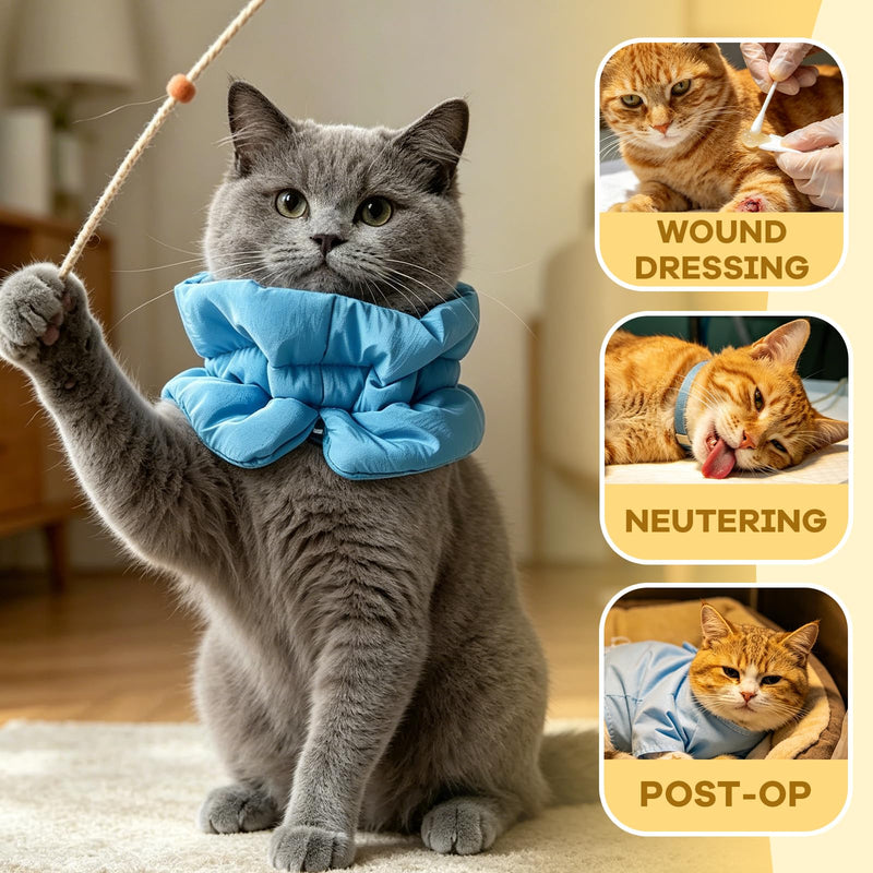 Cat neck brace, lick protection cat collar, recovery cat neck brace, adjustable, Elizabethan collar for cats and kittens, prevents licking of wounds, for use in case of injuries (Blue, S)