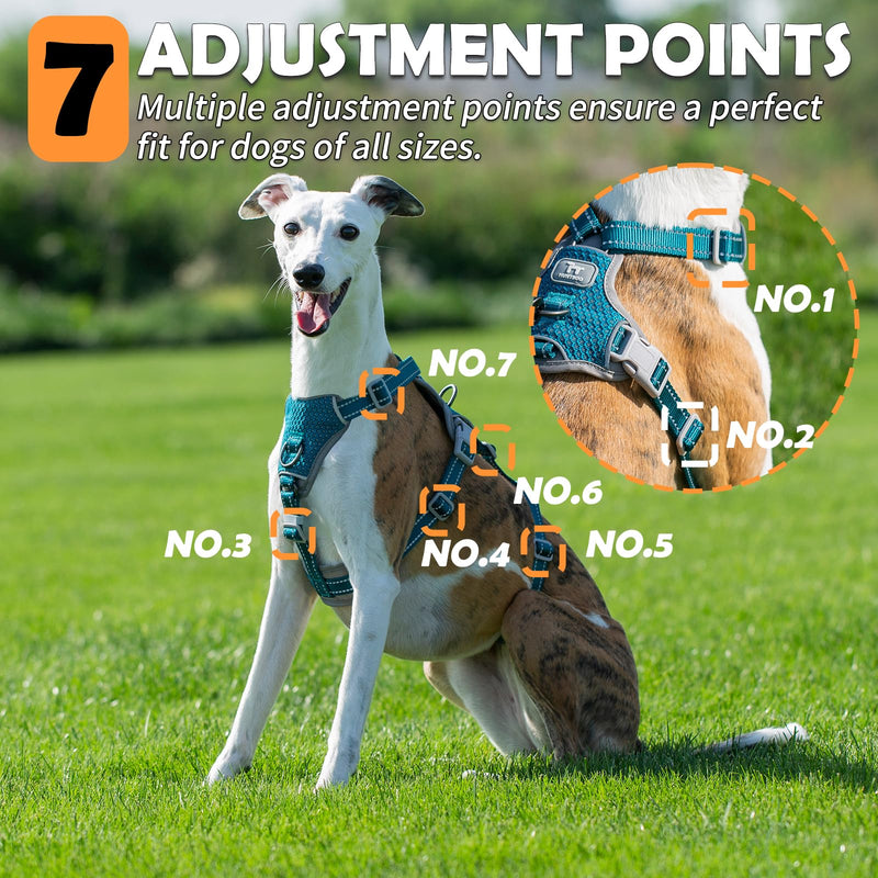 Huntboo Escape Proof Dog Harness – No Pull, No Slip, Fully Reflective, Adjustable 7-Point Design for Small, Medium, and Large Dogs – Lightweight for Outdoor Training & Hiking (Teal, M) Medium (Pack of 1) Teal - PawsPlanet Australia