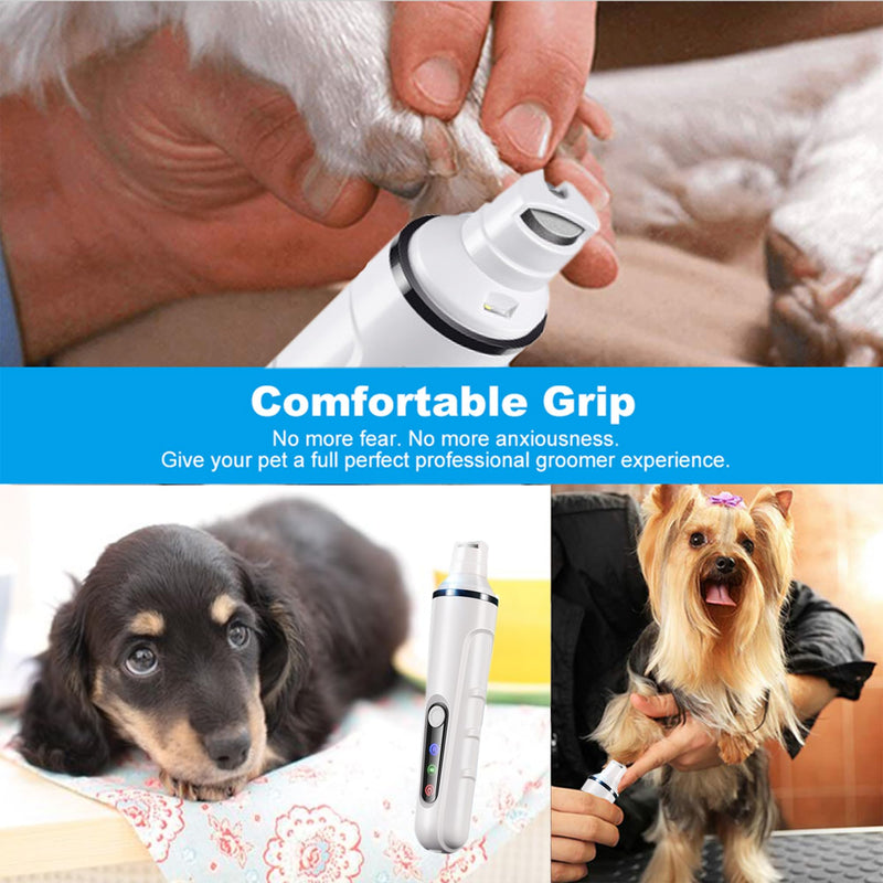 CSD Dog Clippers for Grooming,Paw Trimmer for Dogs,Dog Nail Clippers for Large Dogs,Cat Nail Clippers for Indoor Cats,Puppy Nail Clippers,Pet Nail Clippers - PawsPlanet Australia