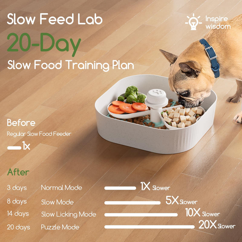 KILIN Slow Feeder Dog Bowls,Dog Slow Feeder Bowl with Lick Mat,Plant-Based Puzzle Maze Dog Food Bowls for Dry,Wet,and Raw Food,Removable Interactive Slow Eating Dog for Small/Medium/Large Breed - PawsPlanet Australia