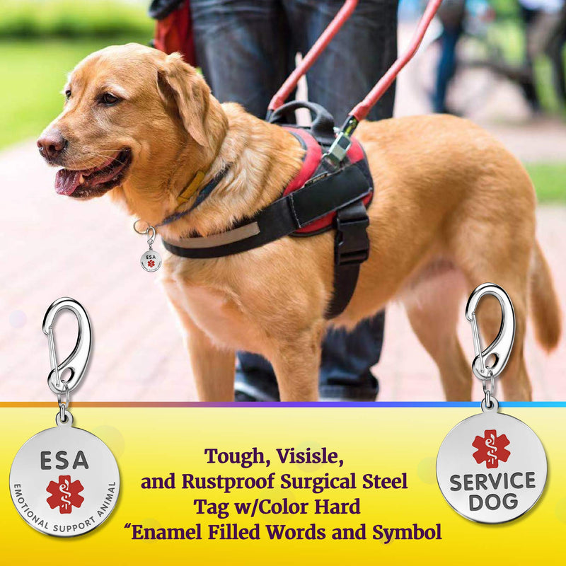 1" Stainless Steel Double Sided Service Dog Medical Alert Tag w/Hard Enamel and Quick Clip - Attach to Dog Collar or Harness Quickly and Securely - PawsPlanet Australia