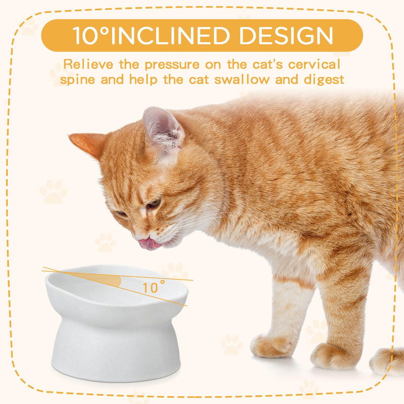 4 Pieces Plastic Tilted Elevated Cat Bowls White Raised Cat Food Bowls Cat Water Bowl Cat Dish Cat Elevated Feeding Bowl for Flat Faced Cats Kitten Kitty Pets Supplies - PawsPlanet Australia