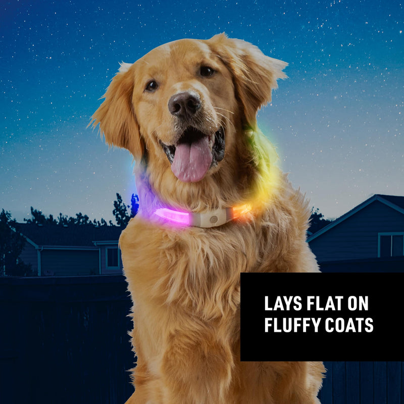 Nite Ize NiteHowl Max Rechargeable LED Safety Necklace - Dog Accessories for Long & Fluffy Coats - LED Glow Necklace for Dogs - Disc-O Select - PawsPlanet Australia