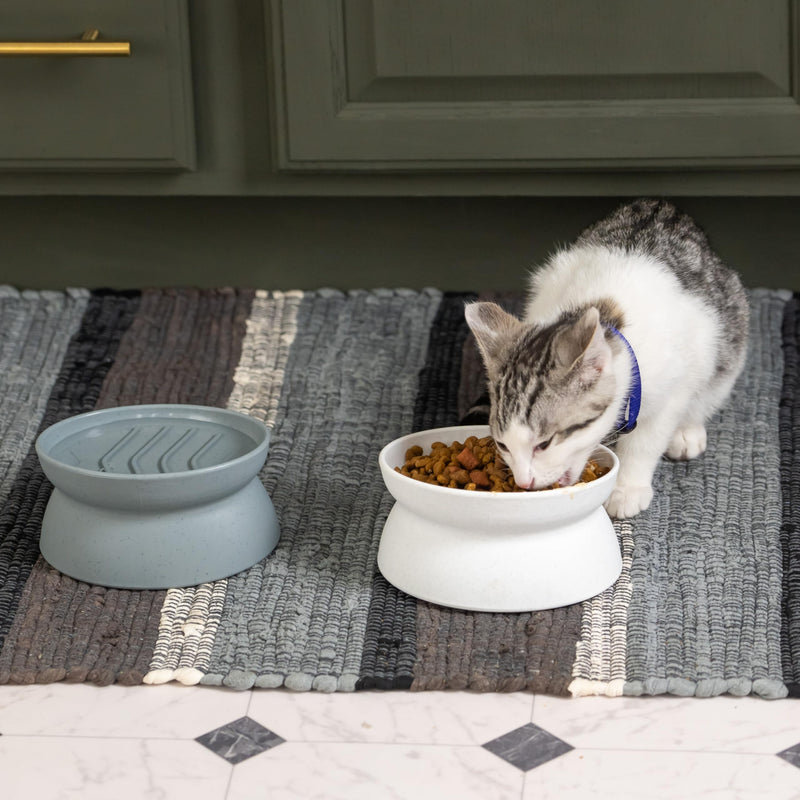 Kitty City Raised Cat Food Bowl Collection/Stress Free Pet Feeder and Waterer and Slow Feed Bowls 2 Bowls/Small Slow Feed - PawsPlanet Australia