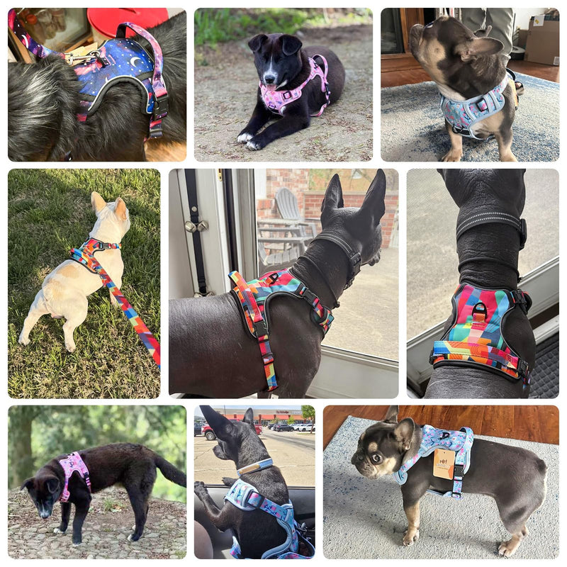 BEAUTYZOO No Pull Dog Harness Large, Adjustable Dog Harness and Leash Set -Easy Wearing with 3 Buckles/Control Handle,No Choke Soft Padded Reflective Pet Vest for Training Walking Hiking,Grey L L: chest 22"-33" Solid Grey - PawsPlanet Australia