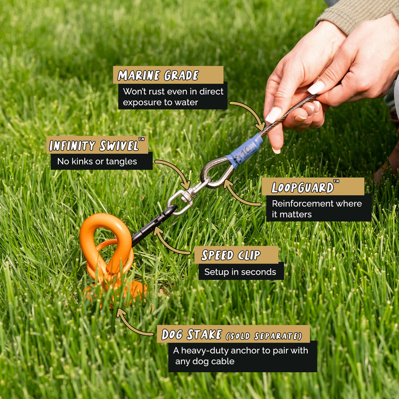 Dog Tie Out Cable - Tie Out Cable for Dogs (up to 300 lbs) - Use Dog Tie-Outs & Stakes for Outside - Best Heavy Duty Dog Leash for Large Dogs (10ft - Black Onyx) L/XL - 10ft - PawsPlanet Australia