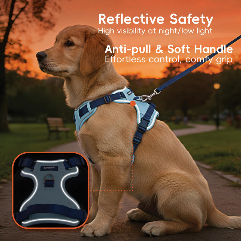 3 in 1 No Pull Dog Harness Leash and Collar Set, Soft Adjustable Dogs Vest Reflective and Comfortable Handle Blue Medium M(Neck:15-22",Chest:21-27") 44-65 lbs