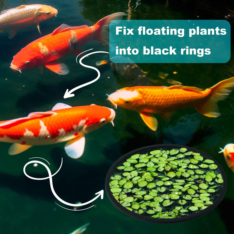 OIIKI 10 PCS Fish Feeding Rings Sets, Floating Aquarium Plant Corral, Floating Plant Rings, Oval and Square Fish Feeding Rings, Fish Tank Aquarium Accessories for Fish Tank, Floating Plants - Black black-oval,square - PawsPlanet Australia