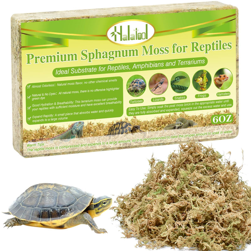 Halatool 6OZ Natural Sphagnum Moss for Reptiles Premium Reptile Moss Ideal Terrarium Moss for Box Turtles Hermit Crabs Leopard Gecko Snakes and Hamsters Enclosure 6 OZ