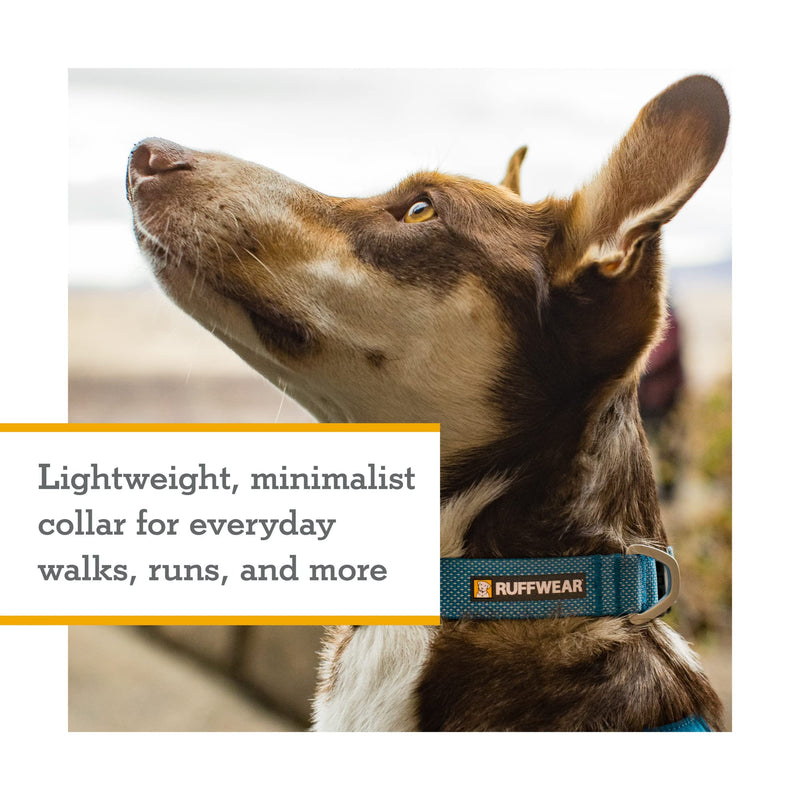 RUFFWEAR Hi & Light Dog Collar, Ultra Strong & Lightweight, Strong Tubelok Webbing, Aluminium Lead Attachment Ring & Side-Release Buckle, Stylish Neck Wear Accessory, Sage Green (Extra Small, 23-28cm) 9"-11"