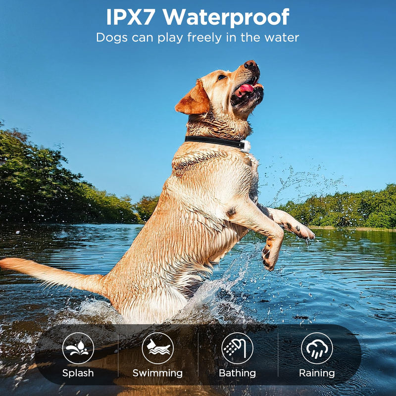 Dog Shock Collar, 3300ft Dog Training Collar with Remote, IPX7 Waterproof Rechargeable Shock Collar Dogs with Beep, Vibration, Safety Shock, Light Mode - PawsPlanet Australia
