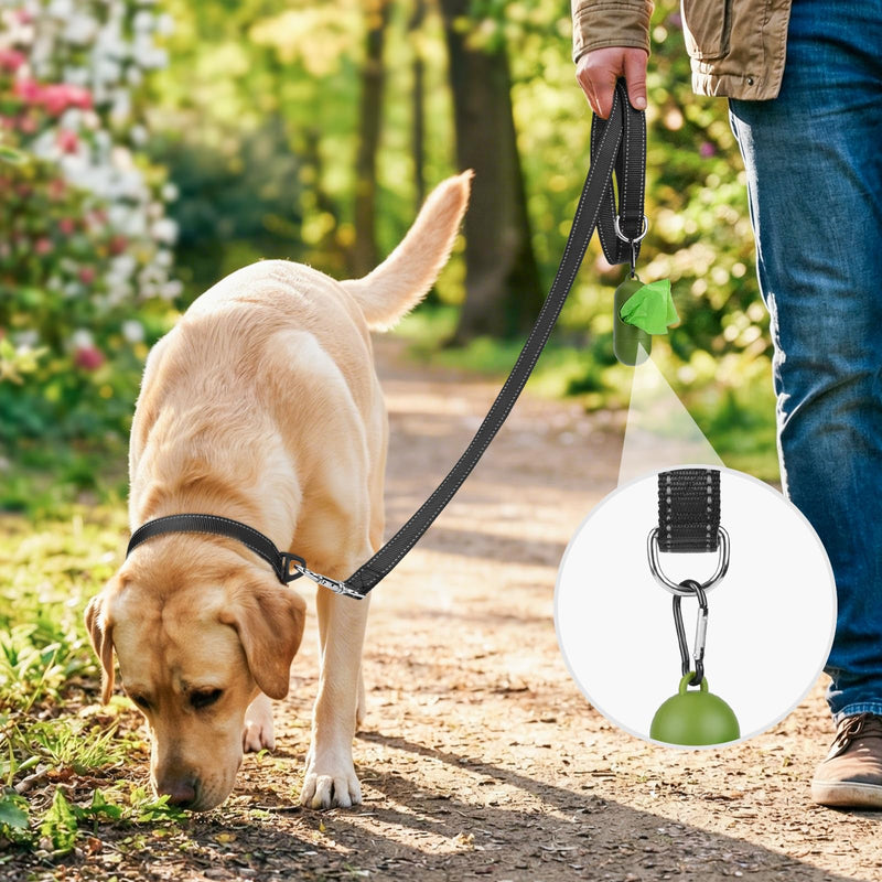 Joytale Dog Leash, 6 FT Double-Sided Reflective, Padded Handle Nylon Heavy Duty Leashes for Medium & Large Dogs Walking, Black 6 ft Standard - PawsPlanet Australia