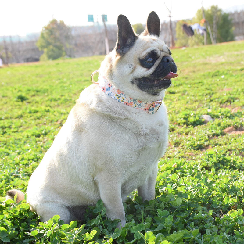 Metal Buckle Dog Collar, Durable Adjustable Dog Collar Soft for Small Medium Large Dogs (M(13-18in), Flower3) 0001-Flower3 M(13-18in) - PawsPlanet Australia
