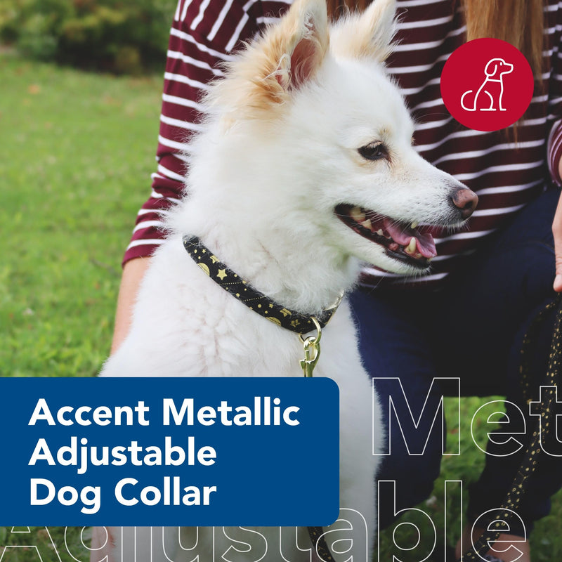 Coastal Pet Accent Metallic Adjustable Dog Collar - Comfortable Dog Collar - Sturdy Metal Buckle - Functional & Aesthetic for Pets - Bright Black Galaxy, 5/8" x 12"-18" 5/8" x 12"-18" (Pack of 1) - PawsPlanet Australia