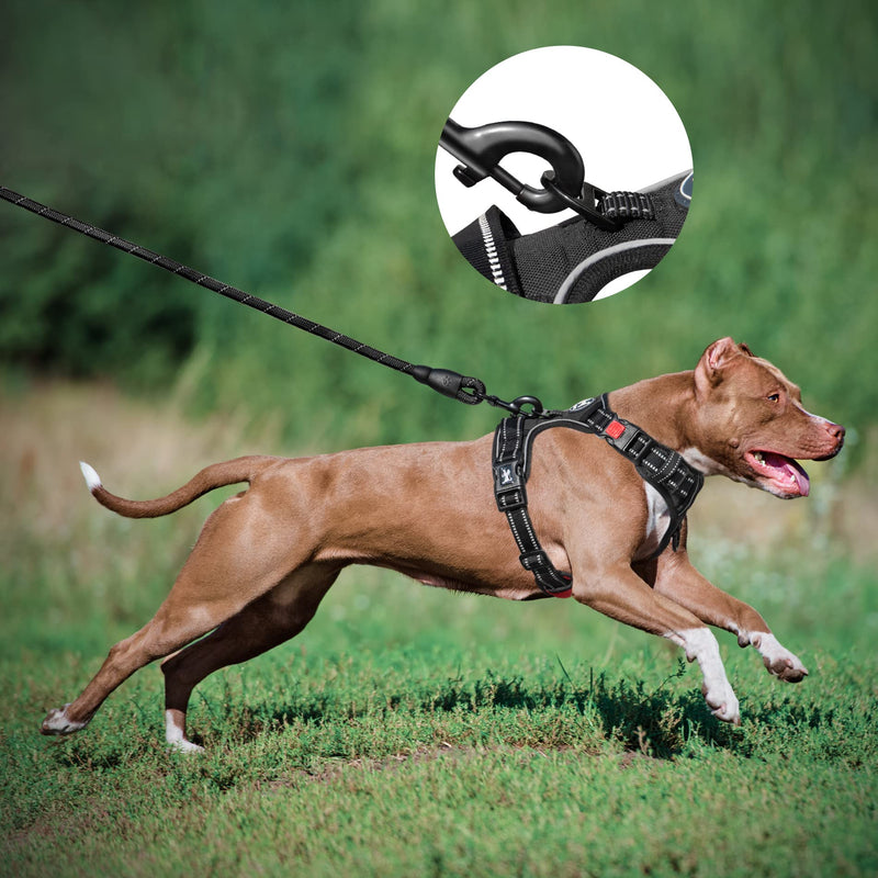 PoyPet Dog Harness and Leash Combo, Escape Proof No Pull Vest Harness, with 5 Feet Leash, Reflective Adjustable Soft Padded Pet Harness with Handle for Small to Large Dogs(Black,L) L Black - PawsPlanet Australia