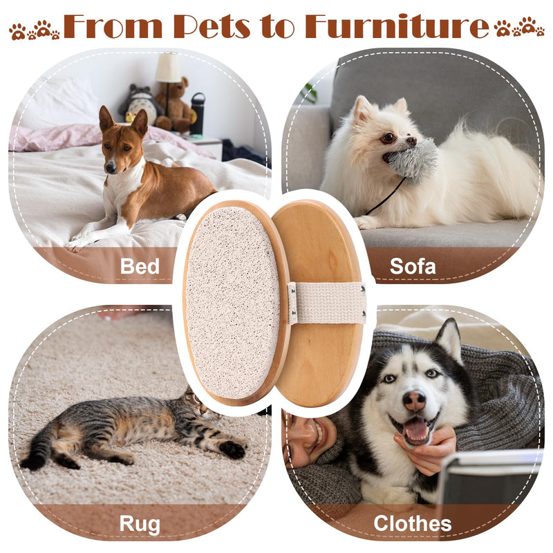 3 Pcs Shedding Stone for Dog Cat Hair Pumice Stone Pet Hair Remover With Handle Pet Fur Shedding Grooming Tool Pet Hair Removal Tool for Short-Hair Pet Horse Carpet Couch Furniture 5.1"×2.7"×1.18" 3 - PawsPlanet Australia