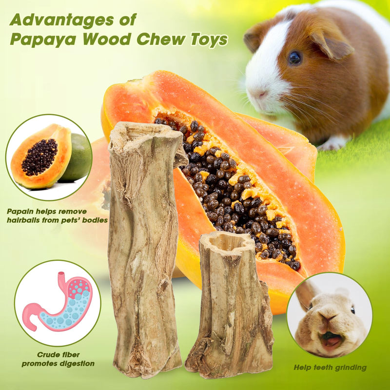 rabbit chew toys for bunnies,4 Pcs Natural Papaya Wood Chew Sticks bunny chews for teeth Chinchilla Guinea Pig Hamster Gerbil degu Small Animals to keep busy Molar Treats Toys Medium