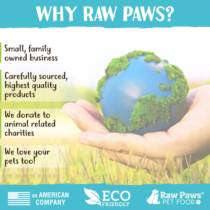 Raw Paws Dried Chicken Feet Dog Treats (10 Count) - Packed in USA - Dehydrated Chicken Feet for Dogs - Natural, Single Ingredient Chews 1 Count (Pack of 10) - PawsPlanet Australia