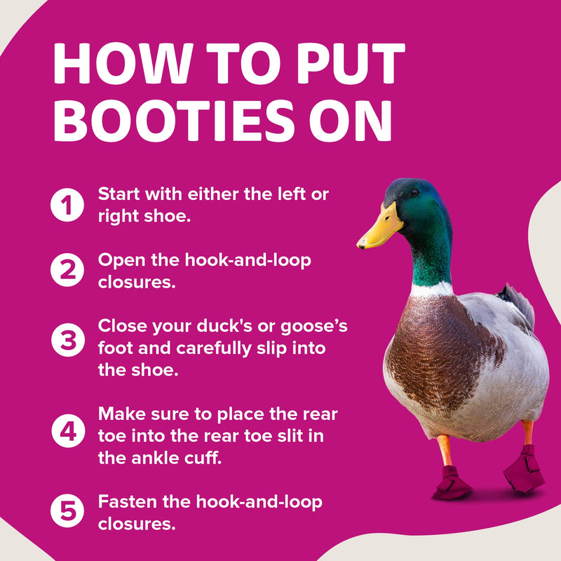 Duck Shoes for Injured Feet – Protective Neoprene Footwear for Ducks, Protective Shoes for Birds with Injured feet, Bumblefoot Relief - Large, 4.5” Max. Inside Width - Pink Large Waterfowl DUCK AND GOOSE SHOES - PawsPlanet Australia