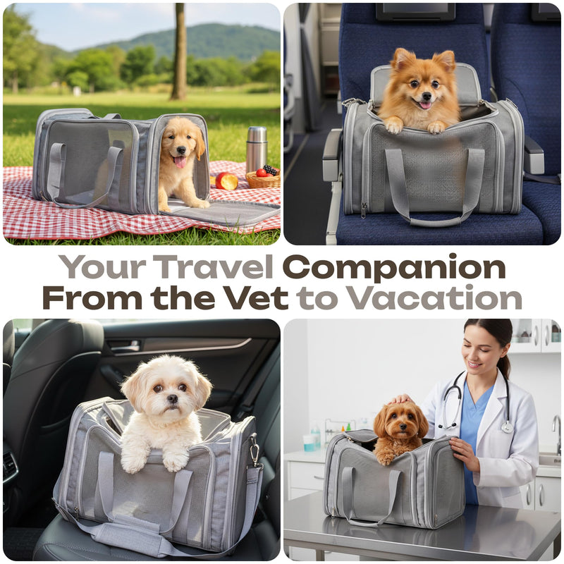 Airline Approved Medium Pet Carrier for Cats & Dogs – Foldable Dog Bag with Soft Mat, Breathable Mesh Windows, Travel-Ready Cat Carrier (Up to 15 lbs, Grey) - PawsPlanet Australia