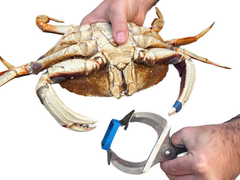 AirFly Crab, Lobster Claw Rubber Band Pliers.Designed in San Francisco, USA (Bands not included) Band Pliers (Bands not included) - PawsPlanet Australia