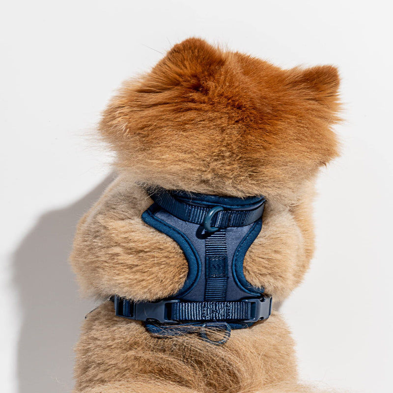 Wild One Harness 2.0 - Extra Small - Navy - PawsPlanet Australia