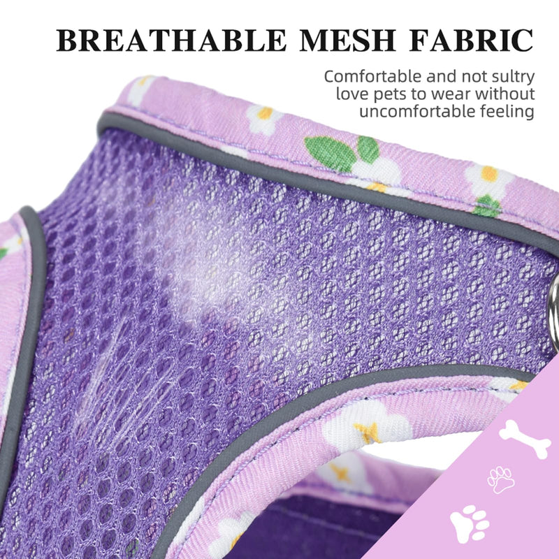 Petank Dog Harness for Small Medium Dogs No Pull, Puppy Harness and Leash Set, Mesh Adjustable Breathable Light Vest for Walking, Running, Training. (Purple, S) Purple - PawsPlanet Australia