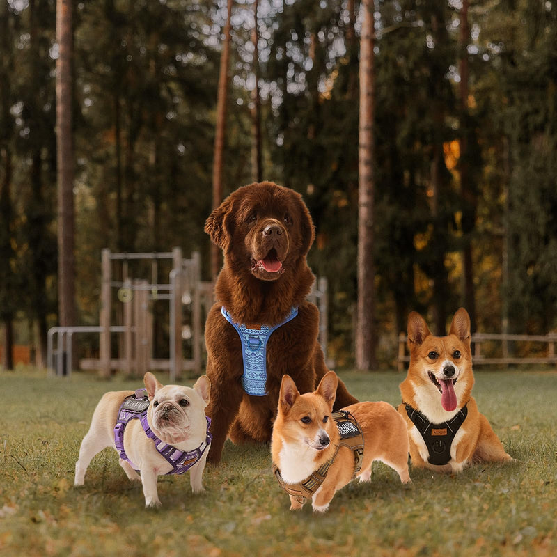 Tactical Dog Harness for Large Dogs, for Golden Retriever, Labrador, German Shepherd etc, No Pull Reflective No Choke Adjustable and Padded Pet Vest Harness, Black, L - PawsPlanet Australia