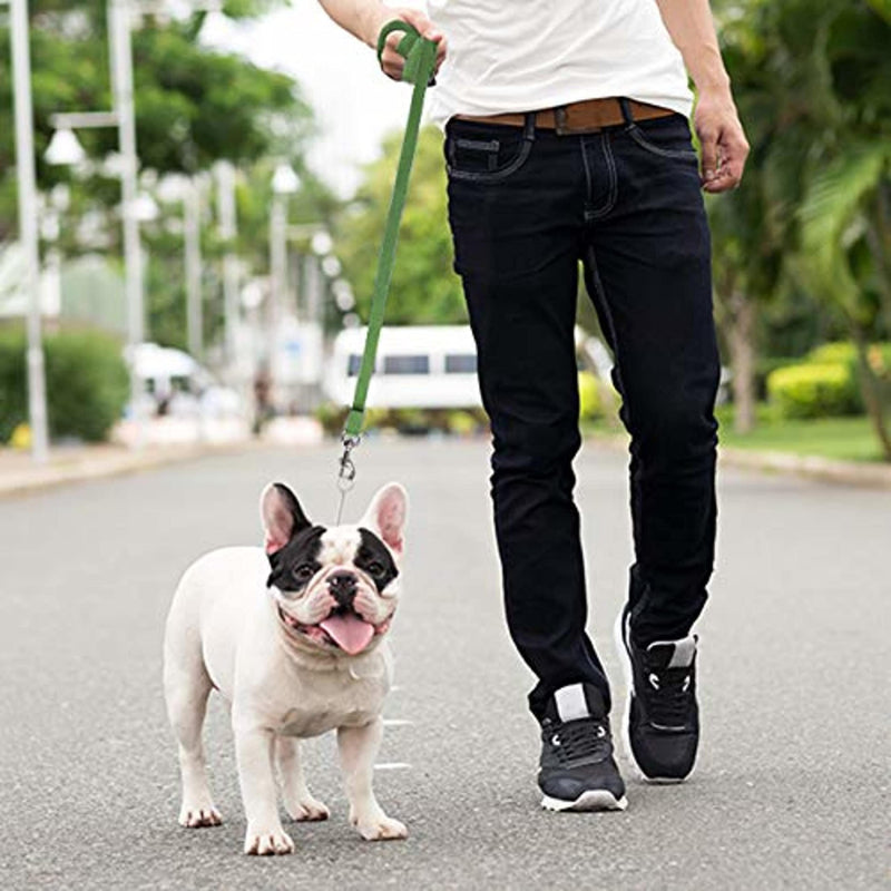 Downtown Pet Supply - Long Dog Leash - 50 ft Hunter Green Nylon Dog Training Leash 50 Foot - PawsPlanet Australia