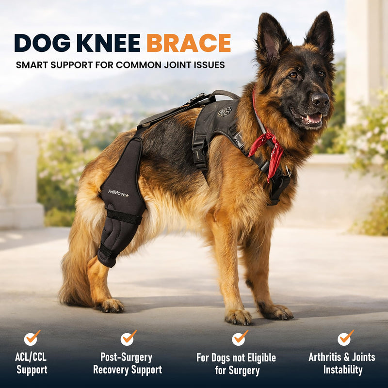 Hybrid Dog Knee Brace for Back Leg - ACL CCL and Arthritis Support with Anti-Slip Connector Strap - Hind Leg Brace for Small to Large Dogs L- LEFT LEG