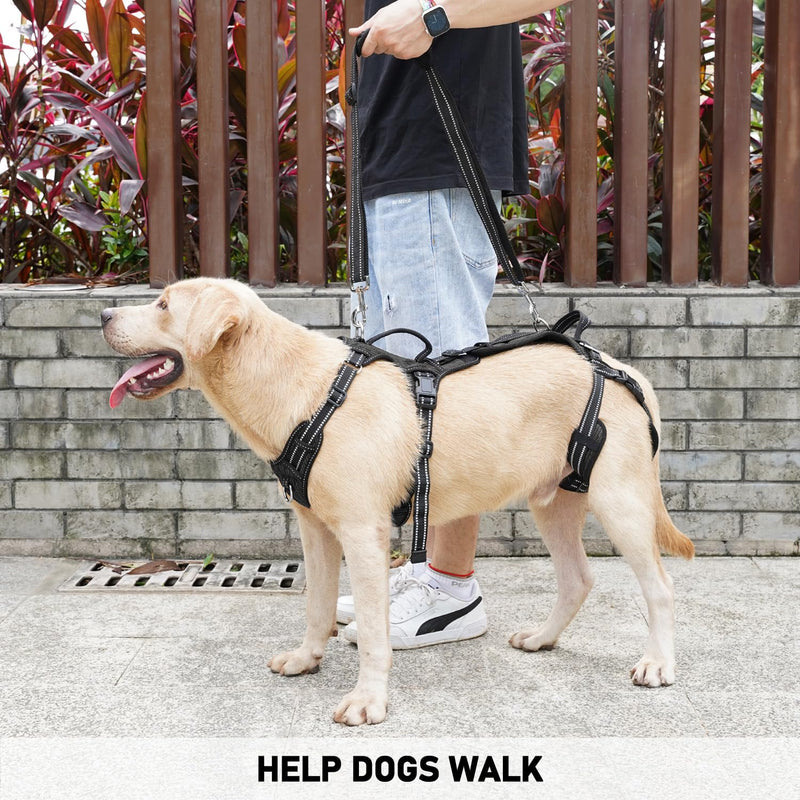 COODEO Mobility Dog Lift Harness, Support Sling & Walking Sling for Dogs, Pet Rear Leg Rehabilitation Support Vest, Dog Carrier for Senior Dogs with Joint Injuries, Arthritis, Up Stair (Black, XL) Black