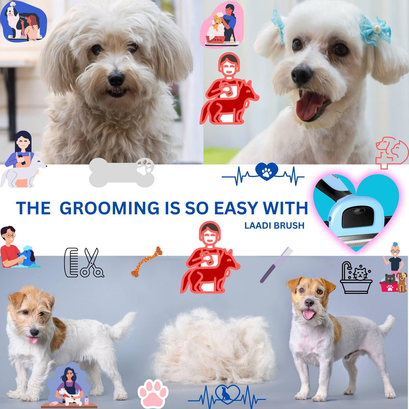 Deshedding Tool for Dogs and Cats - Reduces Shedding by Up to 95% in Less Than 10 Minutes—best Choice for Grooming and Deshedding Your Lovely Pets. Dog Brush Cat brush Horse Brush Rabbit Brush - PawsPlanet Australia