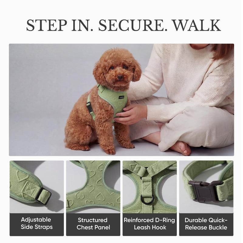 No Pull Dog Harness & Leash Set | Lightweight Breathable Neoprene, Cute Heart Pattern, Adjustable Step-In Vest,Soft Padded with Back D-Ring, XXS-L Small Dogs | Harness & Leash Set Green Harness Leash Set-Green S-Small - PawsPlanet Australia