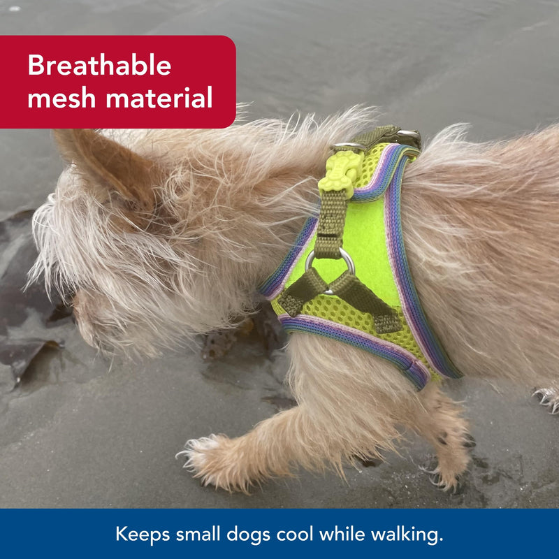 Coastal Pet Li'l Pals Comfort Mesh Dog Harness - No-Pull Step-in Dog Harness for Small Dogs & Puppies - Dog Cooling Vest - Lime - 3/8" x 10"-12" - PawsPlanet Australia