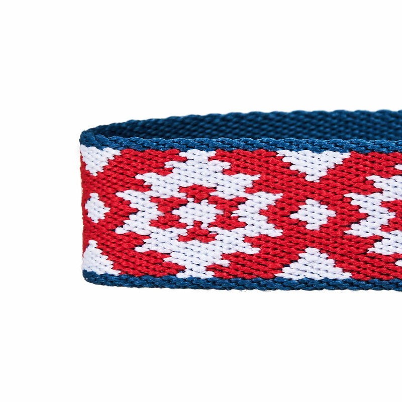Blueberry Pet Southwestern Tribal Diamonds Adjustable Dog Collar, Small, Neck 12"-16" Tribal - Collar - PawsPlanet Australia