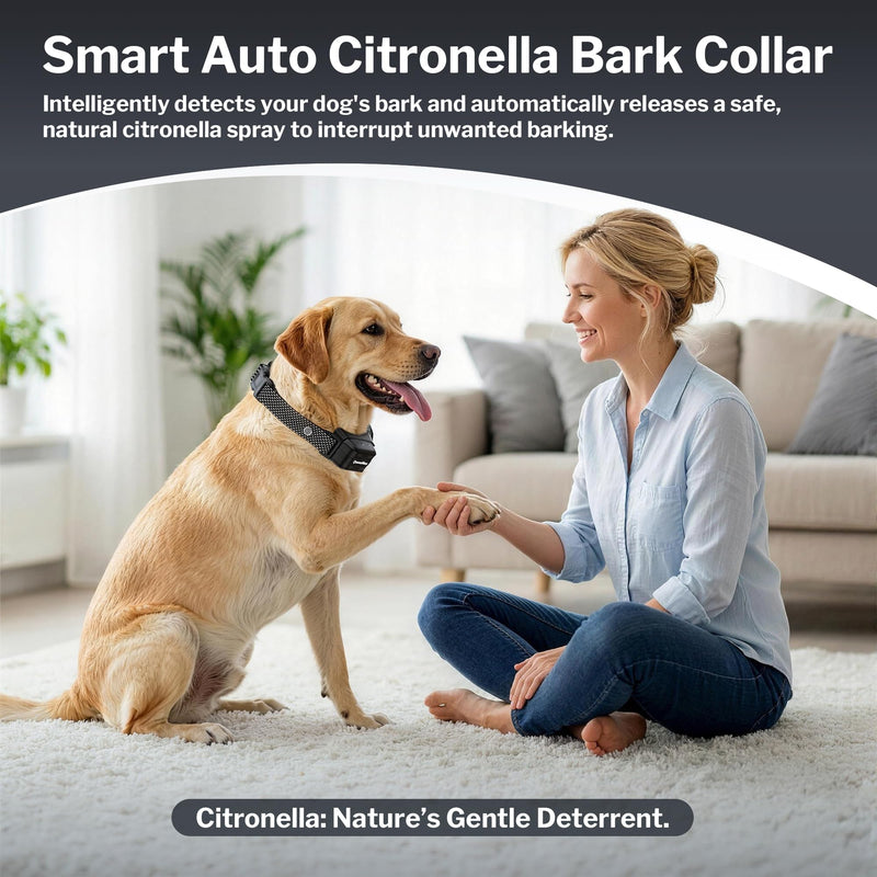 Bark Collar, Dog Bark Collar for Large Medium Small Dogs, Citronella Dog Bark Collar with Adjustable Spray & Sensitivity, Rechargeable Anti-Bark Collar for Dogs with Safe, 2 Collar Straps(Black) Black