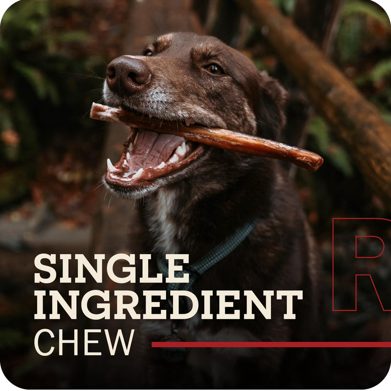 Redbarn Premium Bully Sticks for Dogs - 7 Inch, 6 Count - Long Lasting, Rawhide-Free, Slow Roasted, Low Odor & Highly Digestible, Single Ingredient Chews & All-Natural Dental Treats for Chewers 7" 6 Count (Pack of 1) - PawsPlanet Australia
