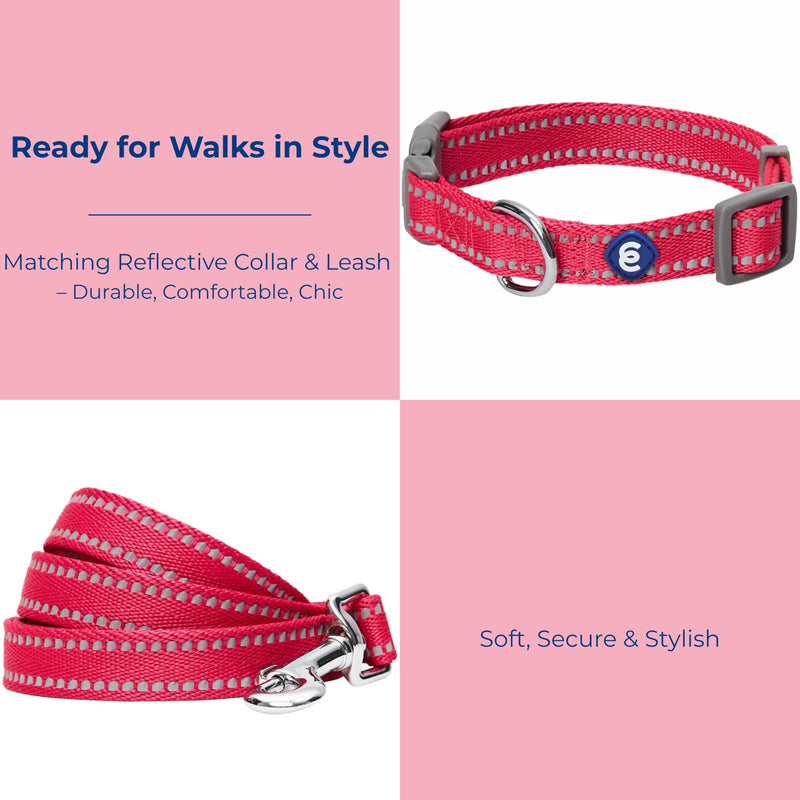 Blueberry Pet Essentials Reflective Dog Collar & Leash Set, Adjustable for Small Dogs | Safe Walking Gear for Pet Parents, Puppy Training & Daily Use SmallDogs, Very Berry - PawsPlanet Australia