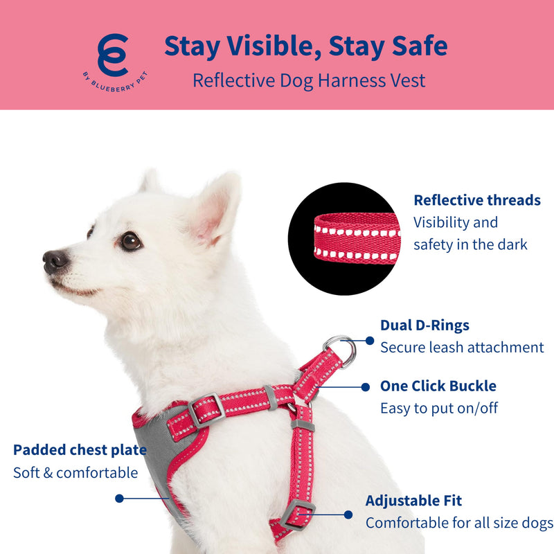 Blueberry Pet Matching Reflective Harness and Leash Set | Adjustable Pastel Vest with Lead for Dogs – Great Value Gift Set | Adjustable Very Berry Vest for Small Breeds - PawsPlanet Australia