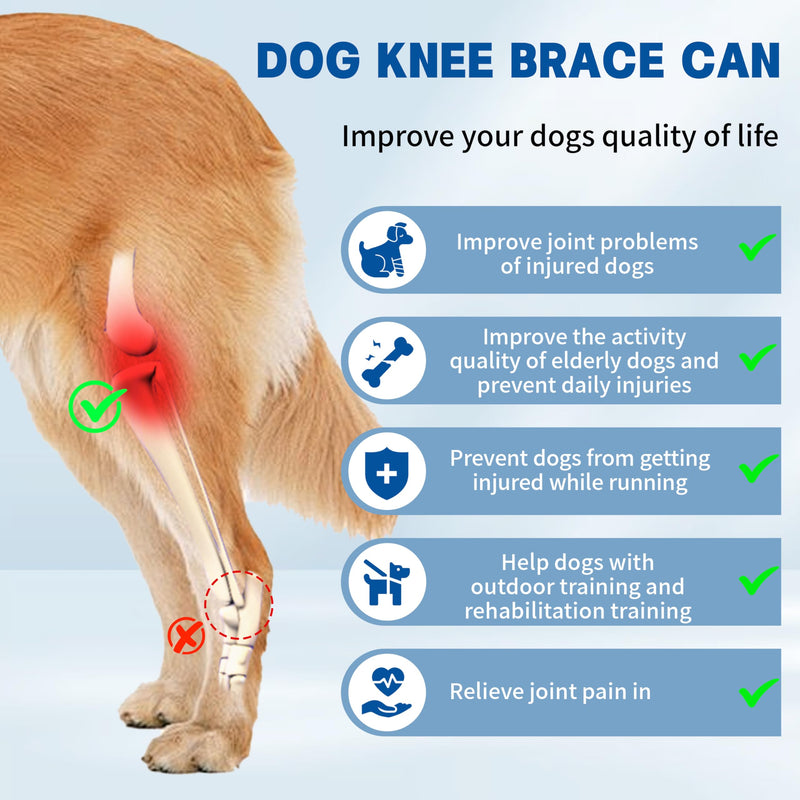 Dog Knee Brace for Torn Acl Hind Leg - Relieves Ligament Injury and Joint Pain, Adjustable Leg Support Bracket for Warmth and Support, Universal Dog Knee Brace for Four Legs, S