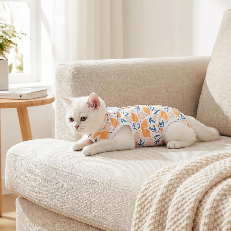 2PCS Cat Recovery Suit, Cat Clothes, Cat Surgery Recovery Suit