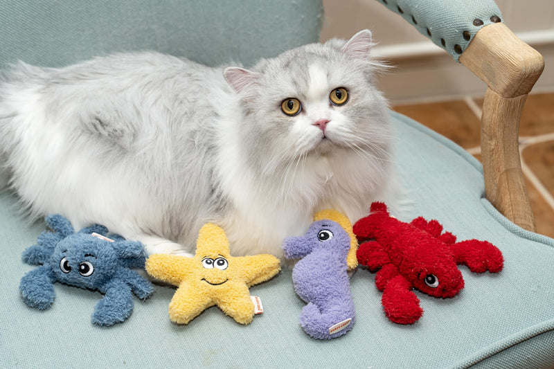 Interactive Catnip Cat Plush Toy, Ocean Theme, 5'', for All Breed Size Cats (Crab) Crab - PawsPlanet Australia