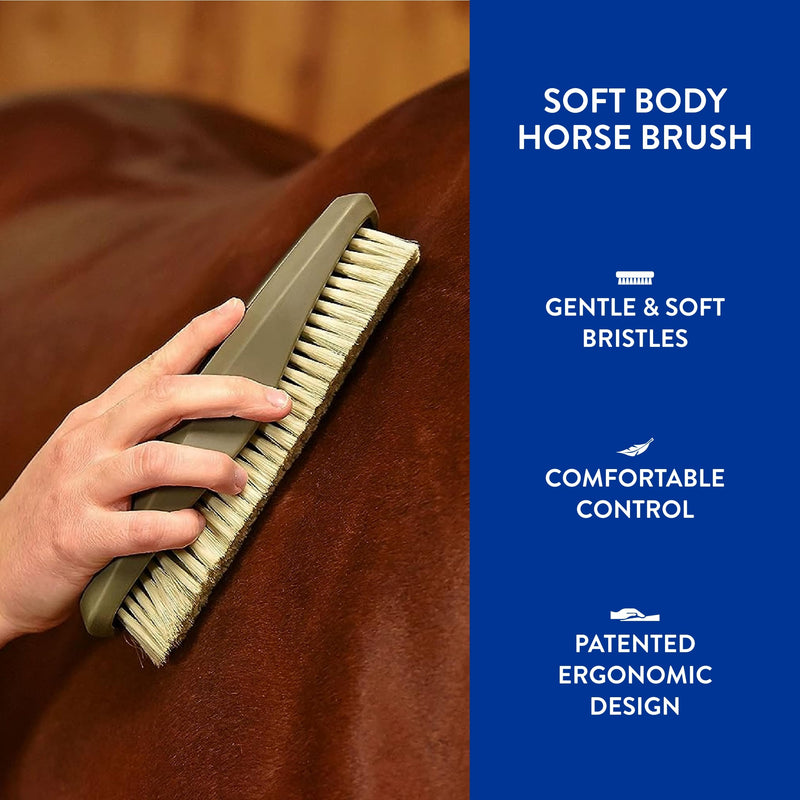 WAHL Professional Animal Equine Soft Body Horse Brush - Black - PawsPlanet Australia