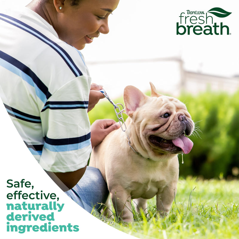 TropiClean Fresh Breath Finger Toothbrushes for Dogs & Puppies | Gentle Soft Toothbrush Alternative for Easy Teeth Cleaning Finger Brushes For Dogs - PawsPlanet Australia
