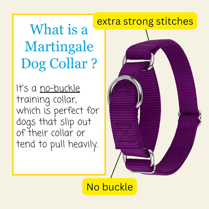 Country Brook Petz - Martingale Dog Collar - Heavy-Duty Training Collar with No Buckle - Service Dog Collar for All Pups - 10+ Cool Colors (Purple, 1 Inch, Medium) Medium (Pack of 1) Purple - PawsPlanet Australia
