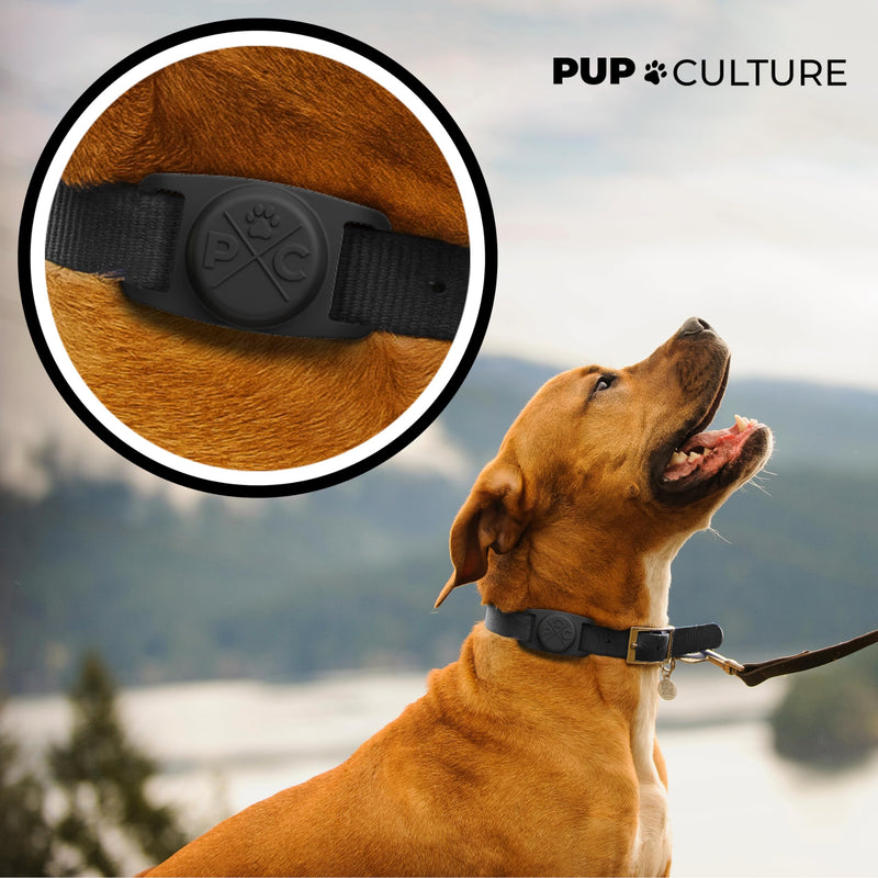 Pup Culture AirTag Collar (2 Pack) | Durable & Protective AirTag Holder - Track Your Pet Using Apple AirTag Technology 2 Pack Black - PawsPlanet Australia
